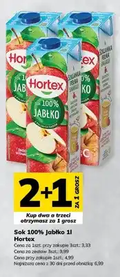 Hitpol Sok jabłko Hortex 100% oferta