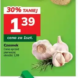 Hitpol Czosnek oferta