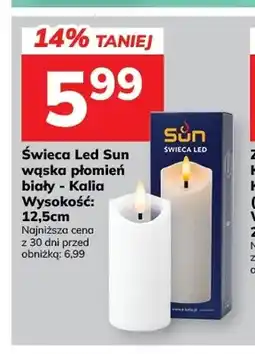 Hitpol Świeca LED Sun wąska płomień biały Kalia oferta