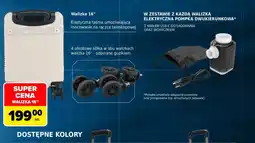 Carrefour Walizka oferta