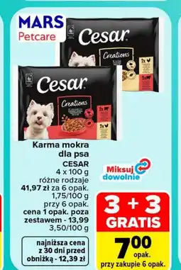 Carrefour Market Karma dla psa Cesar oferta