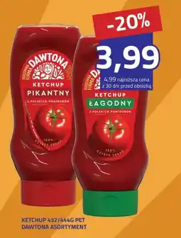 Hildebrandt Ketchup Dawtona Asortyment oferta