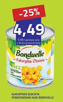 Hildebrandt Kukurydza Złocista Bonduelle oferta