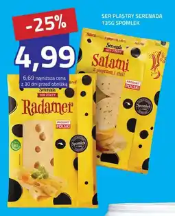 Hildebrandt Ser żółty Radamer oferta