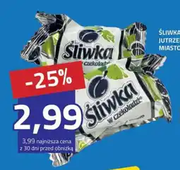 Hildebrandt Śliwka w czekoladzie oferta