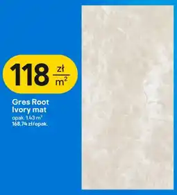 Castorama Gres Root Ivory mat oferta