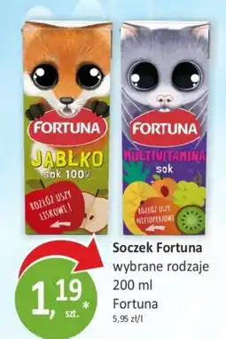 Sklepy S Soczek Fortuna oferta