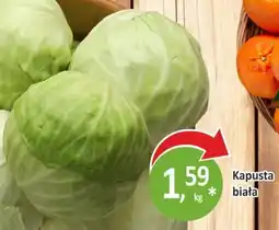 Sklepy S Kapusta biała oferta