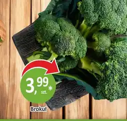 Sklepy S Brokuł oferta