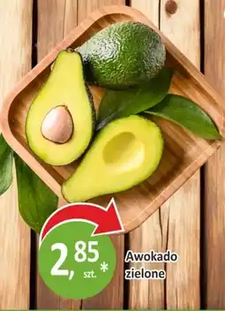 Sklepy S Awokado zielone oferta