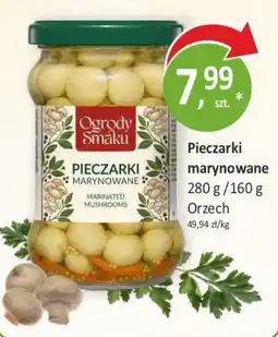 Sklepy S Pieczarki marynowane oferta