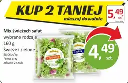 Sklepy S Mix świeżych sałat wybrane rodzaje oferta