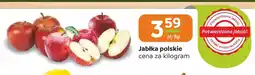Społem Częstochowa Jabłka polskie oferta