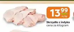 Społem Częstochowa Skrzydło z indyka oferta