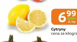 Społem Częstochowa Cytryny oferta