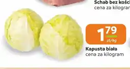 Społem Częstochowa Kapusta biała oferta