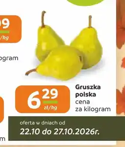 Społem Częstochowa Gruszki polskie oferta