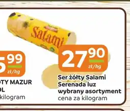 Społem Częstochowa Ser żółty Salami Serenada oferta