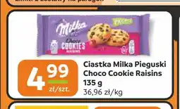 Społem Częstochowa Ciastka Milka Pieguski Choco Cookie Raisins oferta