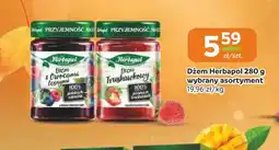 Społem Częstochowa Dżem z owocami leśnymi Herbapol oferta