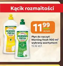 Społem Częstochowa Płyn do naczyń Morning Fresh oferta