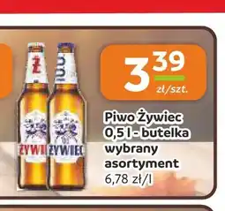 Społem Częstochowa Piwo Żywiec oferta