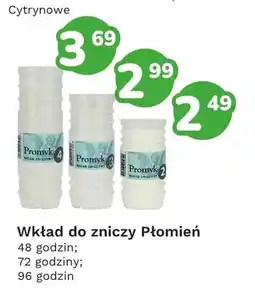 Limonka Wkład do zniczy 48 godzin Płomień oferta