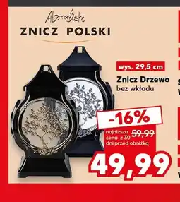 Kaufland Znicz Drzewo bez wkładu Adamczewski oferta