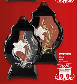 Kaufland Znicz Lilia bez wkładu oferta