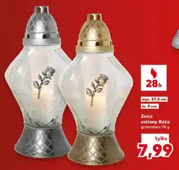 Kaufland Znicz szklany Róża oferta