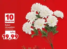 Kaufland Bukiet chryzantem oferta