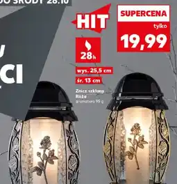 Kaufland Znicz szklany Róża oferta
