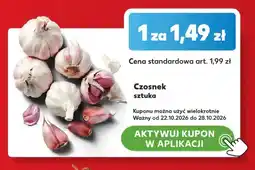 Kaufland Czosnek oferta