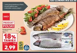 Kaufland Pstrąg tęczowy patroszony Blue Bay oferta