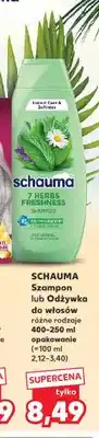 Kaufland Szampon do włosów Schauma oferta
