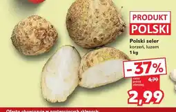 Kaufland Seler korzeń polski oferta