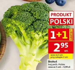 Auchan Brokuł oferta