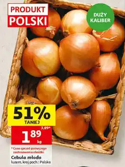 Auchan Cebula młoda luzem oferta