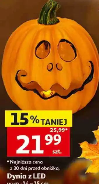 Dynia z LED