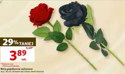 Auchan Róża pojedyncza welurowa sztuczna, wys. 50 cm oferta