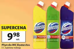 Auchan Płyn do WC Domestos oferta