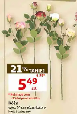 Auchan Róża sztuczna, wys. 54 cm oferta