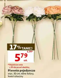 Auchan Piwonia pojedyncza sztuczna, wys. 30 cm oferta