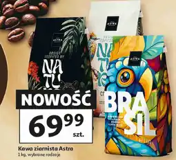 Auchan Kawa ziarnista Astra oferta