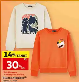 Auchan Inextenso Bluza chłopięca oferta
