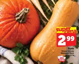 Topaz Express Dynia oferta