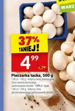 Twój Market Pieczarka tacka oferta
