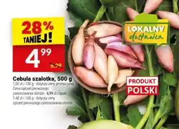 Twój Market Cebula szalotka oferta