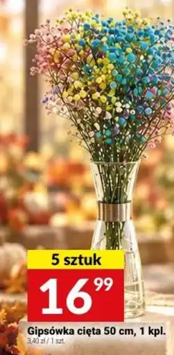 Twój Market Gipsówka cięta oferta