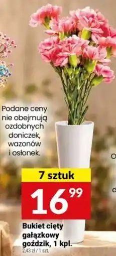 Twój Market Bukiet cięty gałązkowy goździk oferta